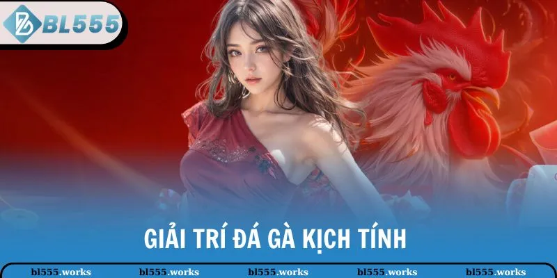 Giải trí đá gà kịch tính 