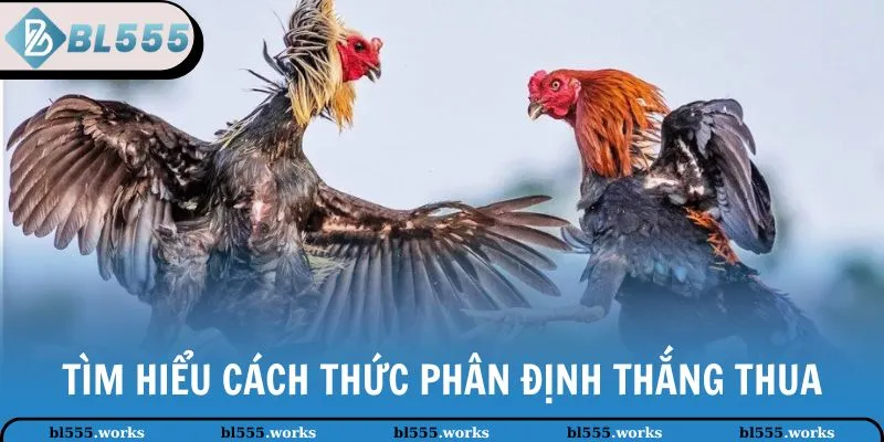Tìm hiểu cách thức phân định thắng thua