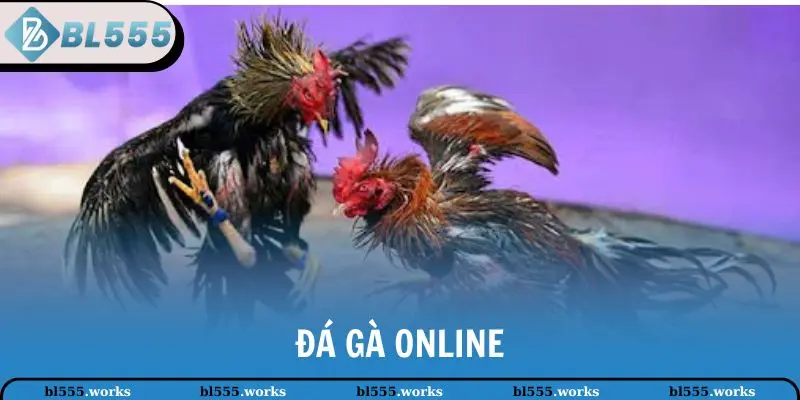 đá gà online