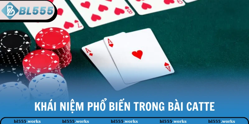 Khái niệm phổ biến trong bài Catte