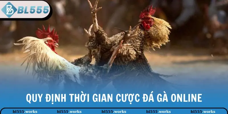 Quy định thời gian cược đá gà online