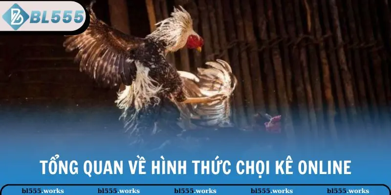 Tổng quan về hình thức chọi kê online