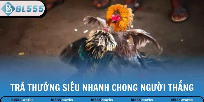 Trả thưởng siêu nhanh chóng người thắng